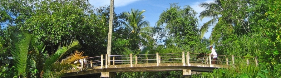 Que faire à Ben Tre? Visite des villages d'artisanat à Ben Tre 