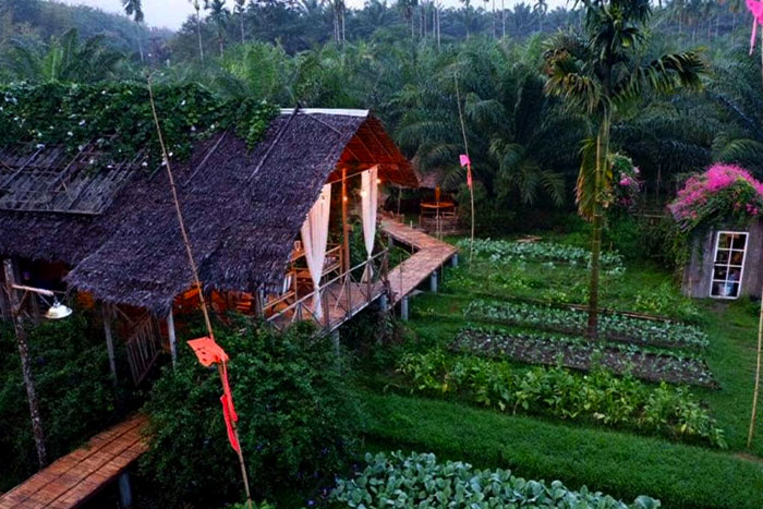 L'hébergement chez l'habitant à Ben Tre est un bon choix 