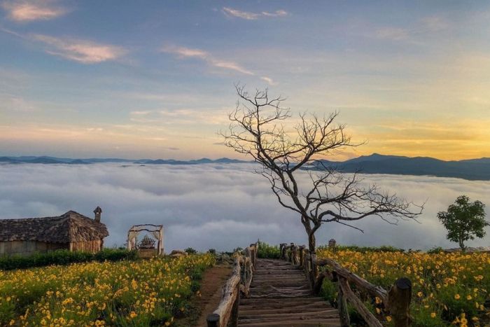 Da Lat - Une ville incontournable en 2 semaines aux hauts plateaux Vietnam