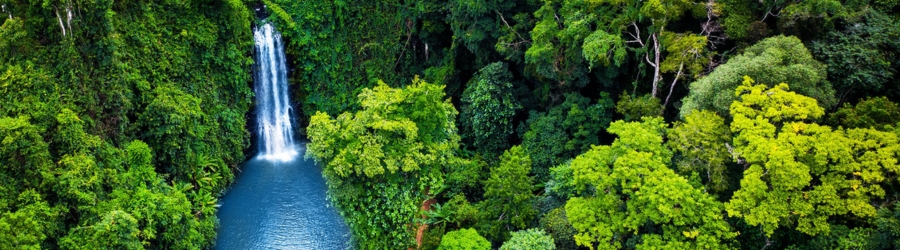 La nature majestique de Kon Tum