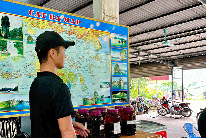 Le guide touristique donne aux touristes un aperçu de Cat Ba