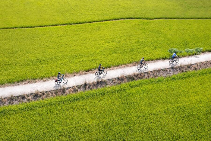 Une balade à vélo jusqu’au village de légumes de Tra Que