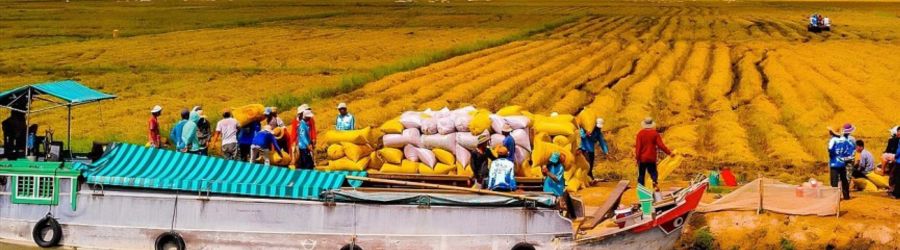 Voyage de Can Tho Sa Dec Long Xuyen 6 jours avec M. Lago