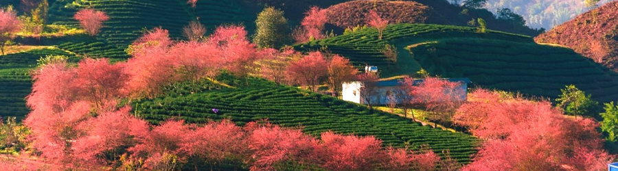 1 semaine à Sapa Vietnam