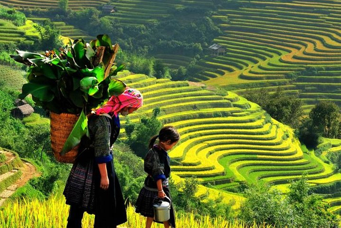 Découvrez le village de Ta Phin des Dao rouges à Sapa