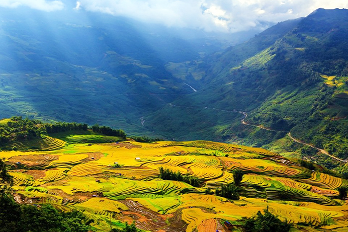 Vallée de Muong Hoa 