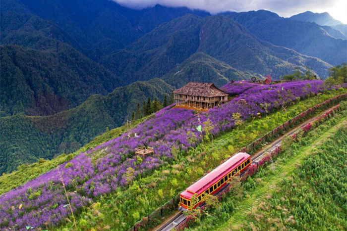 Vallée de Muong Hoa