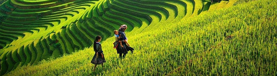 Voyage Sapa Lai Chau 4 jours 