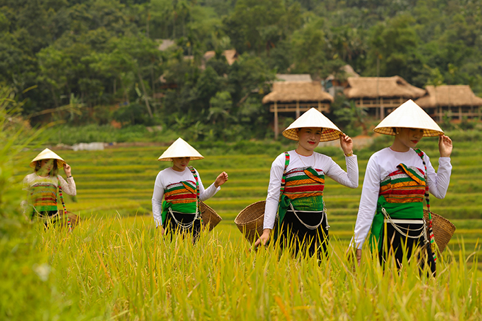 Pu Luong au nord Vietnam, que voir au vietnam en 15 jours ?