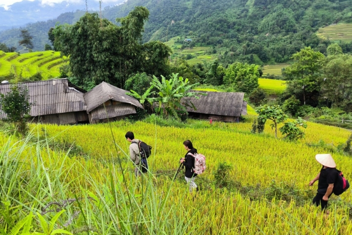 Randonée à Hoang Su Phi