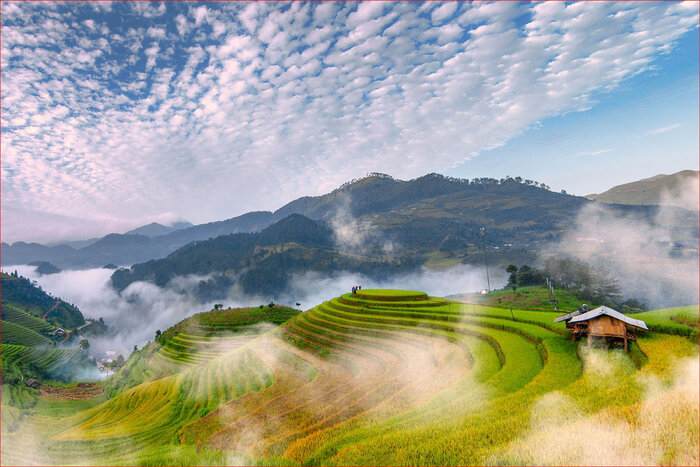 Voyage nord Vietnam 21 jours, admirer les paysages à Nghia Lo