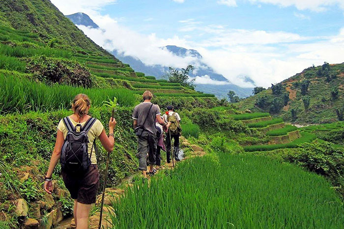 Randonnée à travers les rizières en terrasses du Vietnam