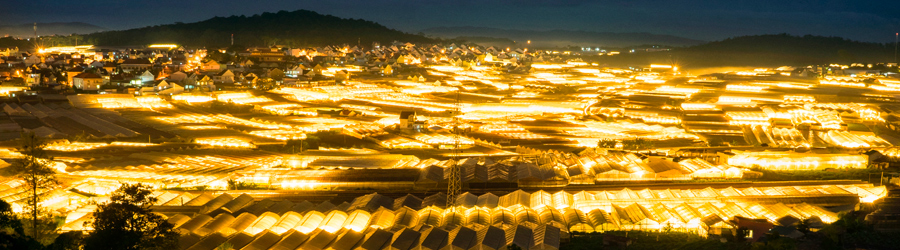 Que faire à Da Lat