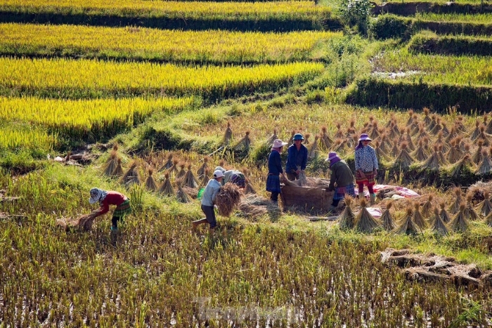 Ha Giang Loop en octobre