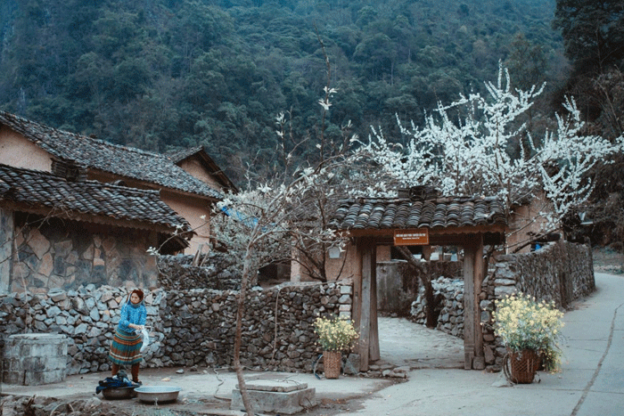 La maison de Pao