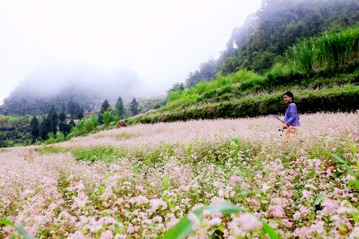 Explorez Ha Giang en hiver
