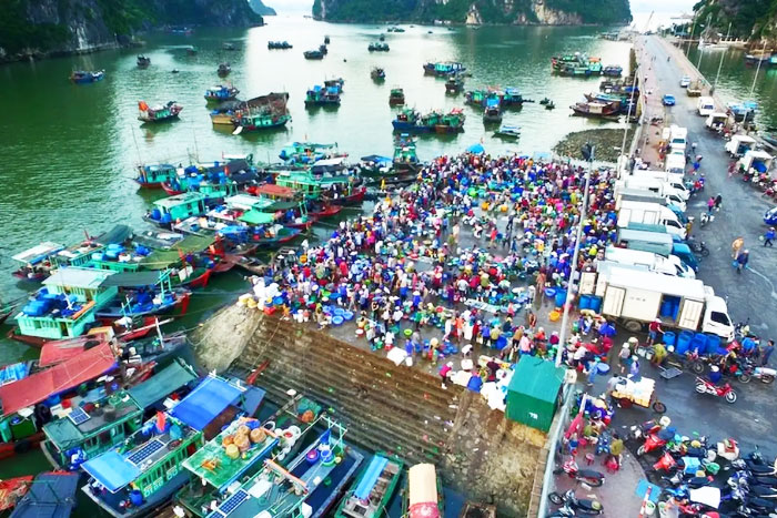 Port de Hon Gai où vous commencez votre voyage.