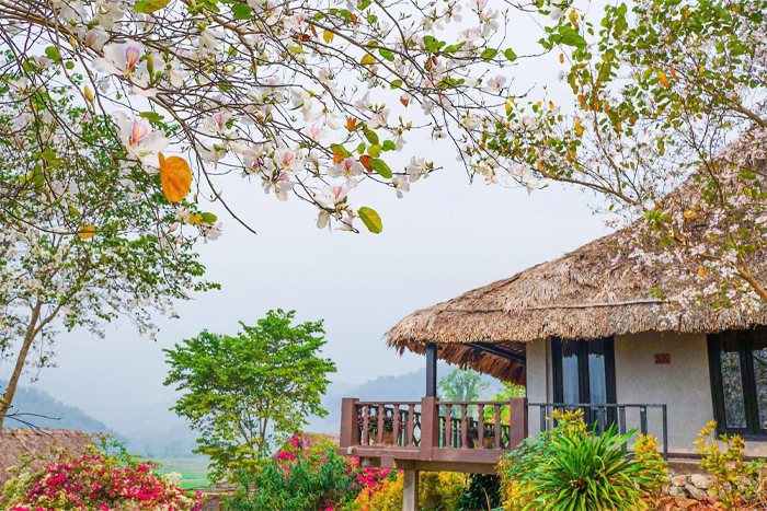 Séjour en homestay à Mai Chau - Une expérience authentique