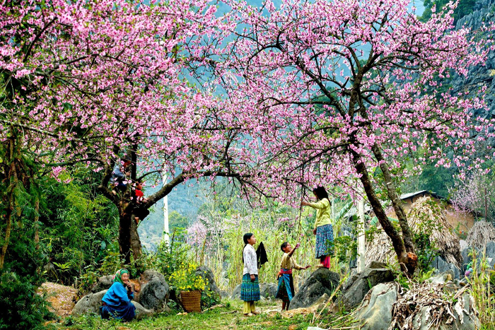 L'ethnie Thai blanc à Mai Chau,Vietnam