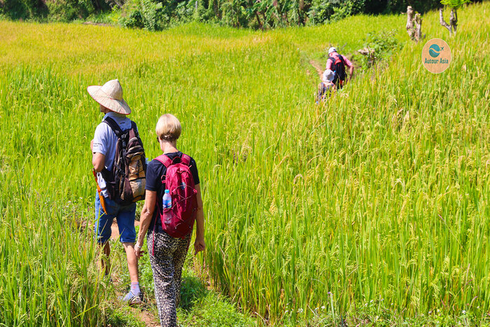 Mai Chau Hoa Binh