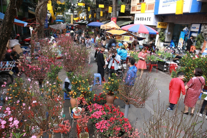 Marché traditionnel du Tết vietnamien