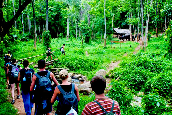 Écotourisme à Cuc Phuong