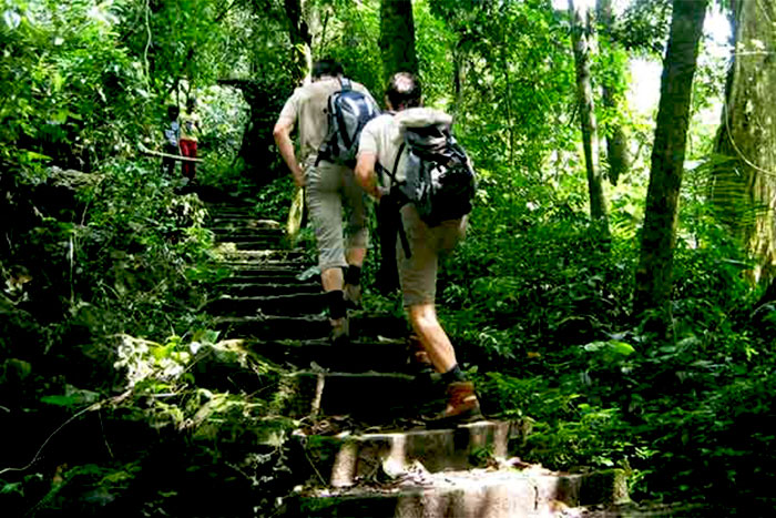 Trekking à Cuc Phuong