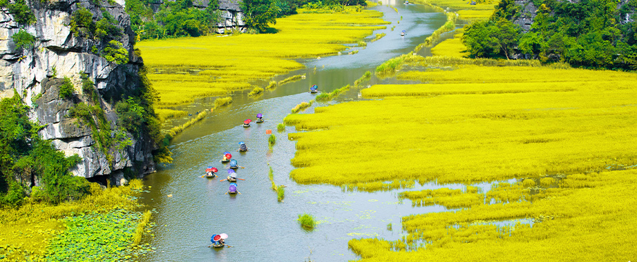 Croisière en barque à Tam Coc