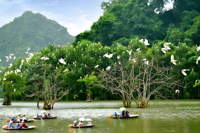 Le printemps est le moment idéal pour explorer Ninh Binh