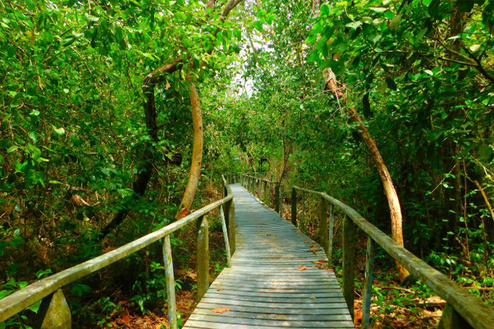 Parc national de Cuc Phuong