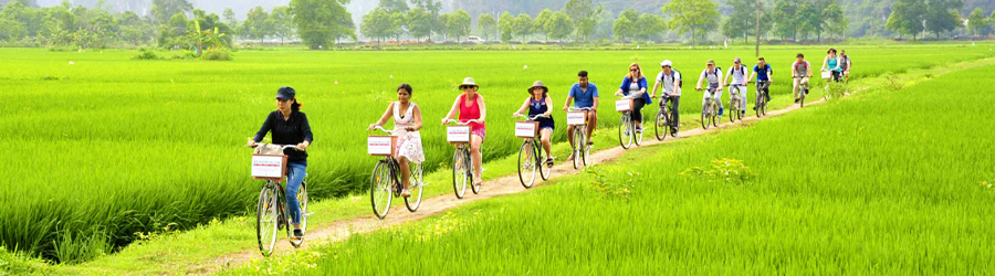 Pourquoi visiter Ninh Binh Vietnam?