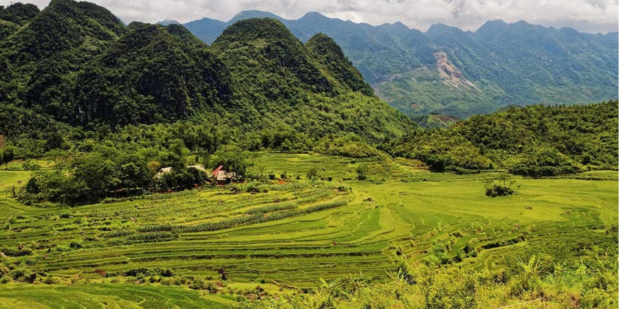 Le parc national de Pù Luông