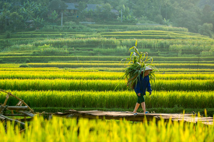 Pu Luong Thanh Hoa Vietnam