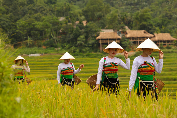 Les Thaïs dans le village de Don