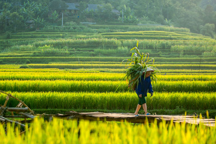 Village de Kho Muong 