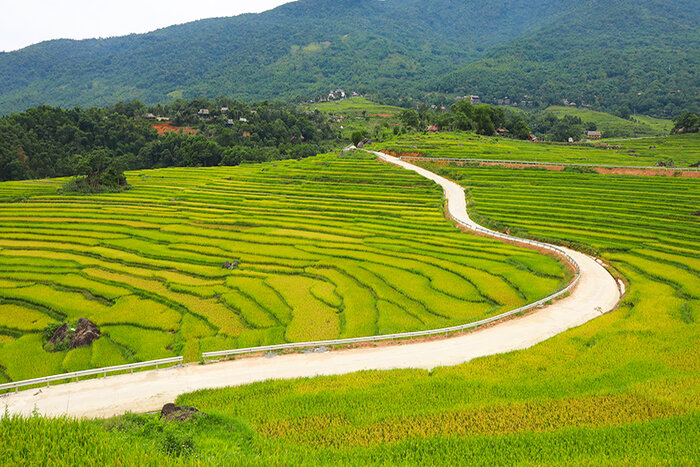 Meilleures périodes pour visiter le village de Kho Muong