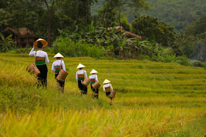 Les Thai à Pu Luong