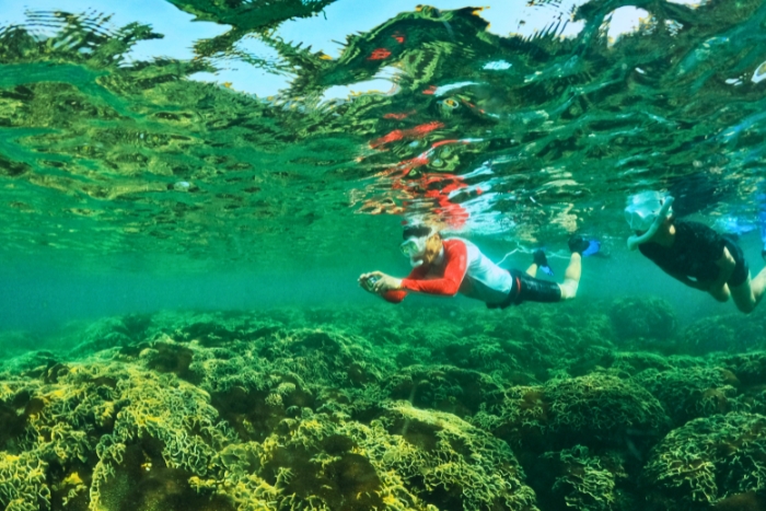 Coraux colorés sous les eaux claires de Nam Du
