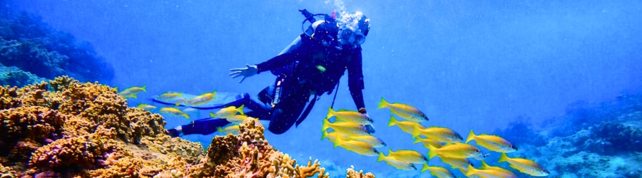 Snorkeling au Nord et au Centre Vietnam