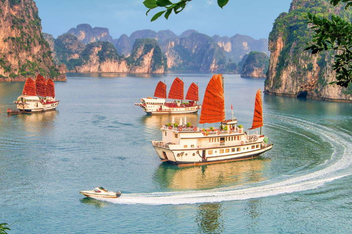Visiter la baie d'Ha Long en août