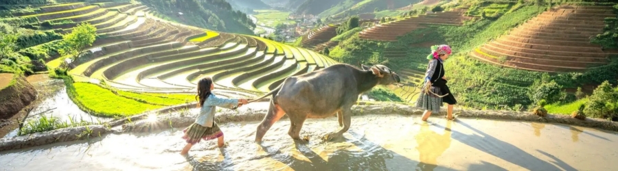 Voyage Vietnam Laos Cambodge 45 jours avec famille de Mme Anne