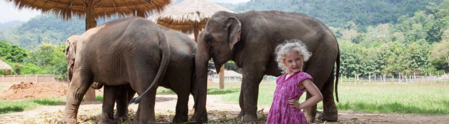 Cet article va vous aider à choisir entre Vietnam ou Thaïlande pour un voyage en famille