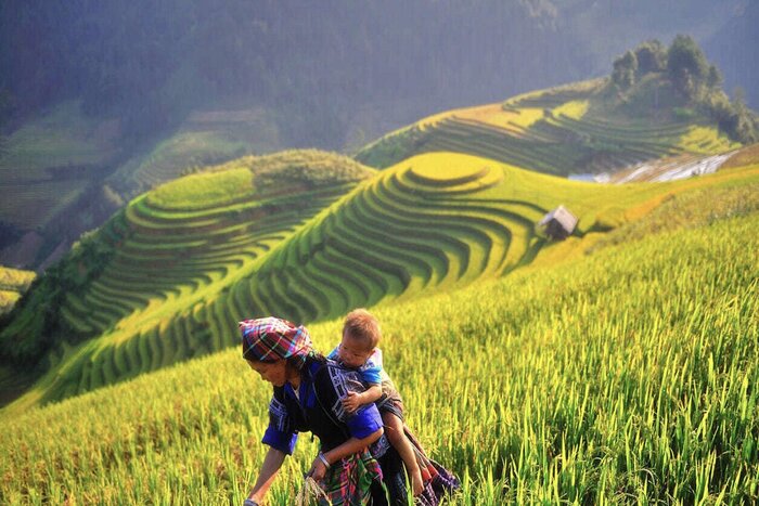 Mu Cang Chai Vietnam
