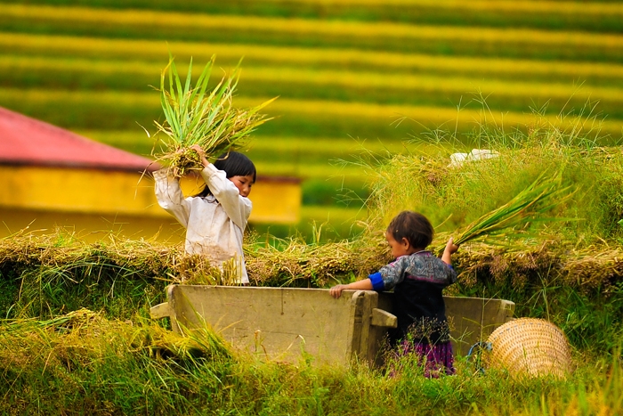 Village de Lim Thai