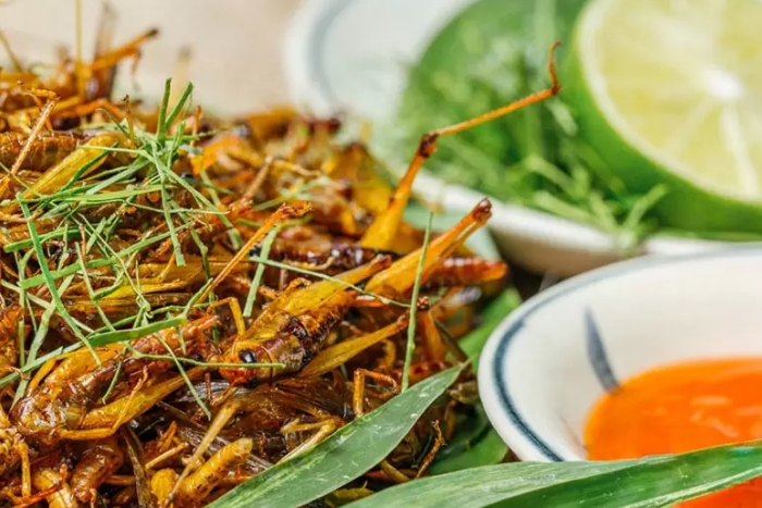  Sauterelles grillées à Mu Cang Chai
